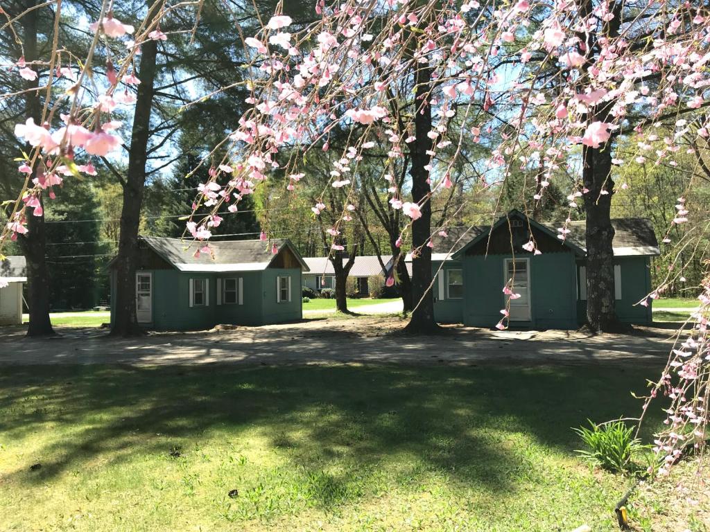 Pine Valley Cabins Main image 1